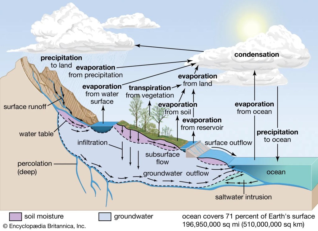 Water cycle showing major processes such as evaporation, condensation and precipitation. 