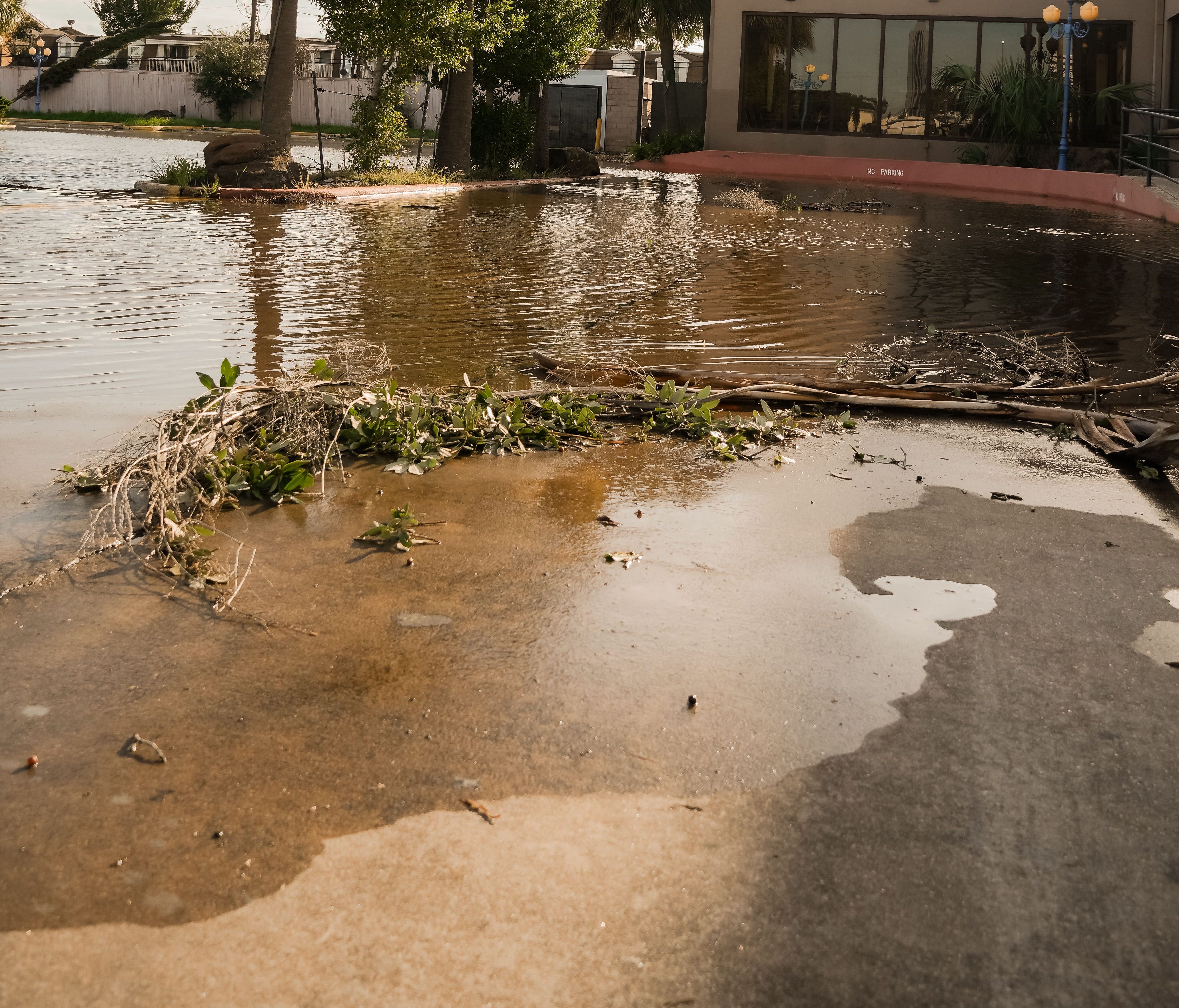 Flooded residential area with vegetation around the edges