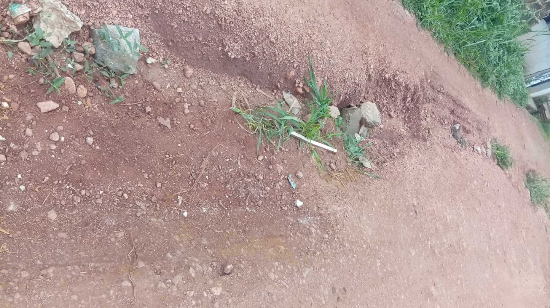 An unpaved road with gully erosion with stones along the path of the erosion